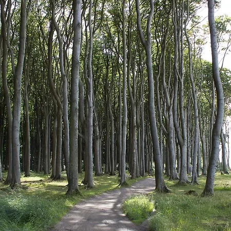 Wellenspiel 公寓 奥斯特巴特宁哈根